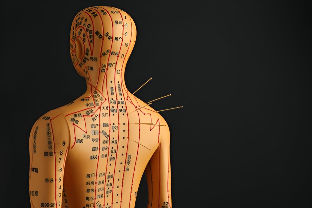 Master Level in Acupuncture Therapy 1st Year